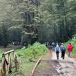 Il Vico Serra San Bruno