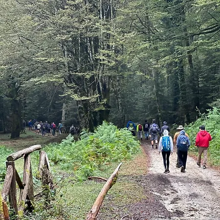 Il Vico סרה סן ברונו