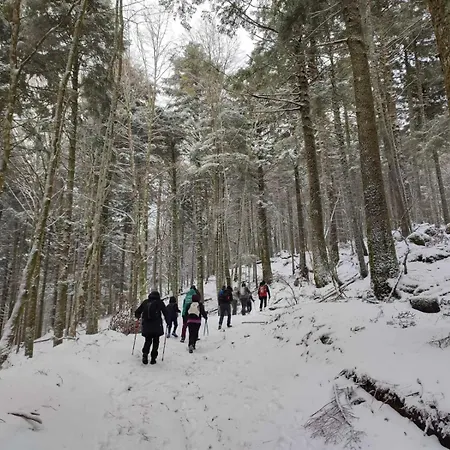 Il Vico 公寓 塞拉圣布鲁诺