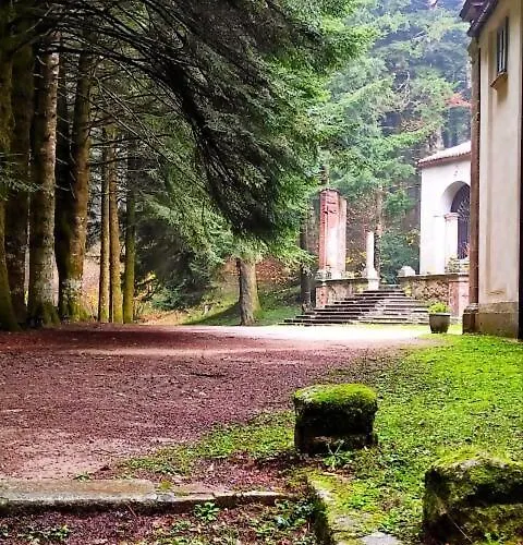 Il Vico 公寓 塞拉圣布鲁诺