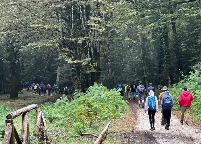 Il Vico 塞拉圣布鲁诺