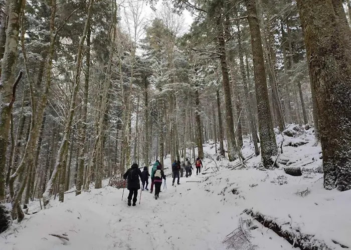 Il Vico 公寓 塞拉圣布鲁诺