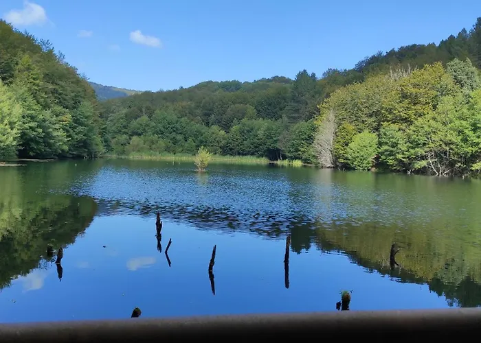 Il Vico * 塞拉圣布鲁诺